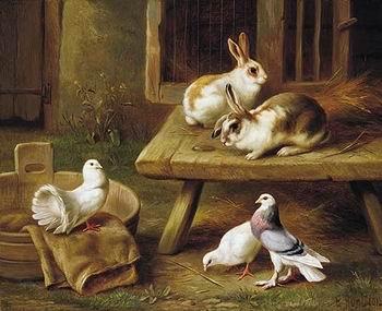 unknow artist Two Rabbits and three pigeons 069 Spain oil painting art